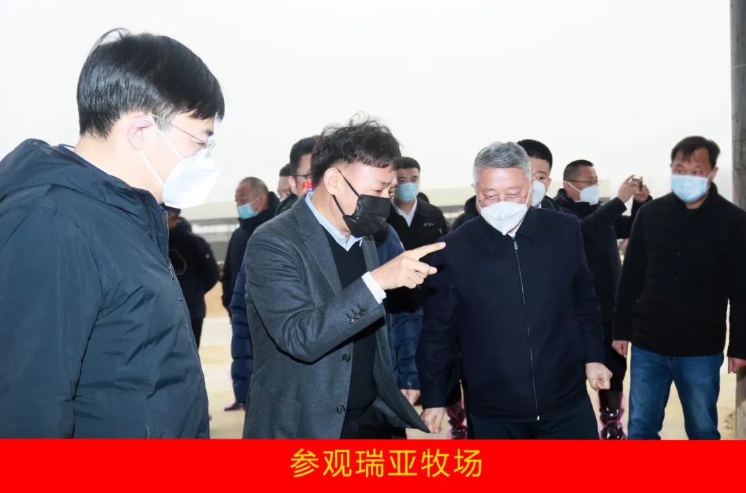 新年開(kāi)新局 合作促發(fā)展丨佳木斯市委常委、副市長(zhǎng)閆志剛一行蒞臨花花牛乳業(yè)集團(tuán)及佳田企業(yè)考察座談