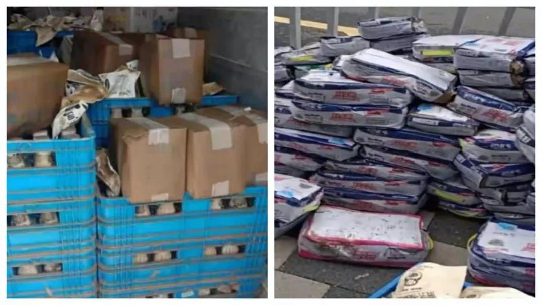 【乳報·聚焦】“豫”難而上的中原牛人“太中了”！