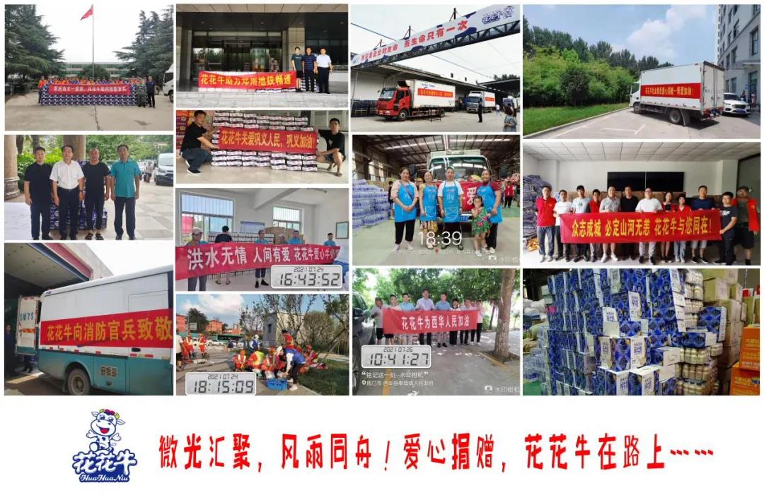 【乳報·聚焦】“豫”難而上的中原牛人“太中了”！