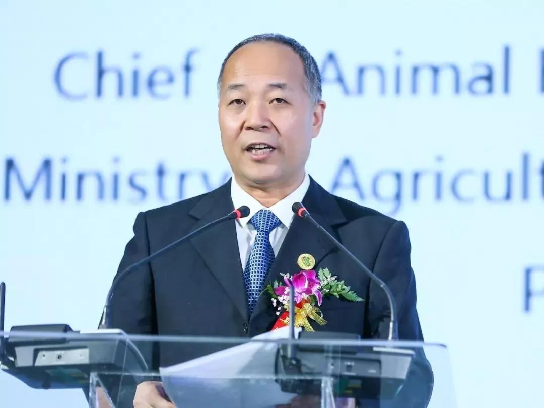 SDDDC走進(jìn)河南，看看花花牛的國(guó)際范兒！