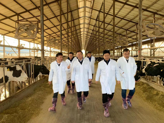 寧夏回族自治區(qū)農(nóng)業(yè)農(nóng)村廳黨組書(shū)記、廳長(zhǎng)王剛一行蒞臨花花牛乳業(yè)集團(tuán)調(diào)研
