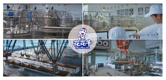 榮獲全國“質(zhì)量月”五項大獎，花花牛真牛！