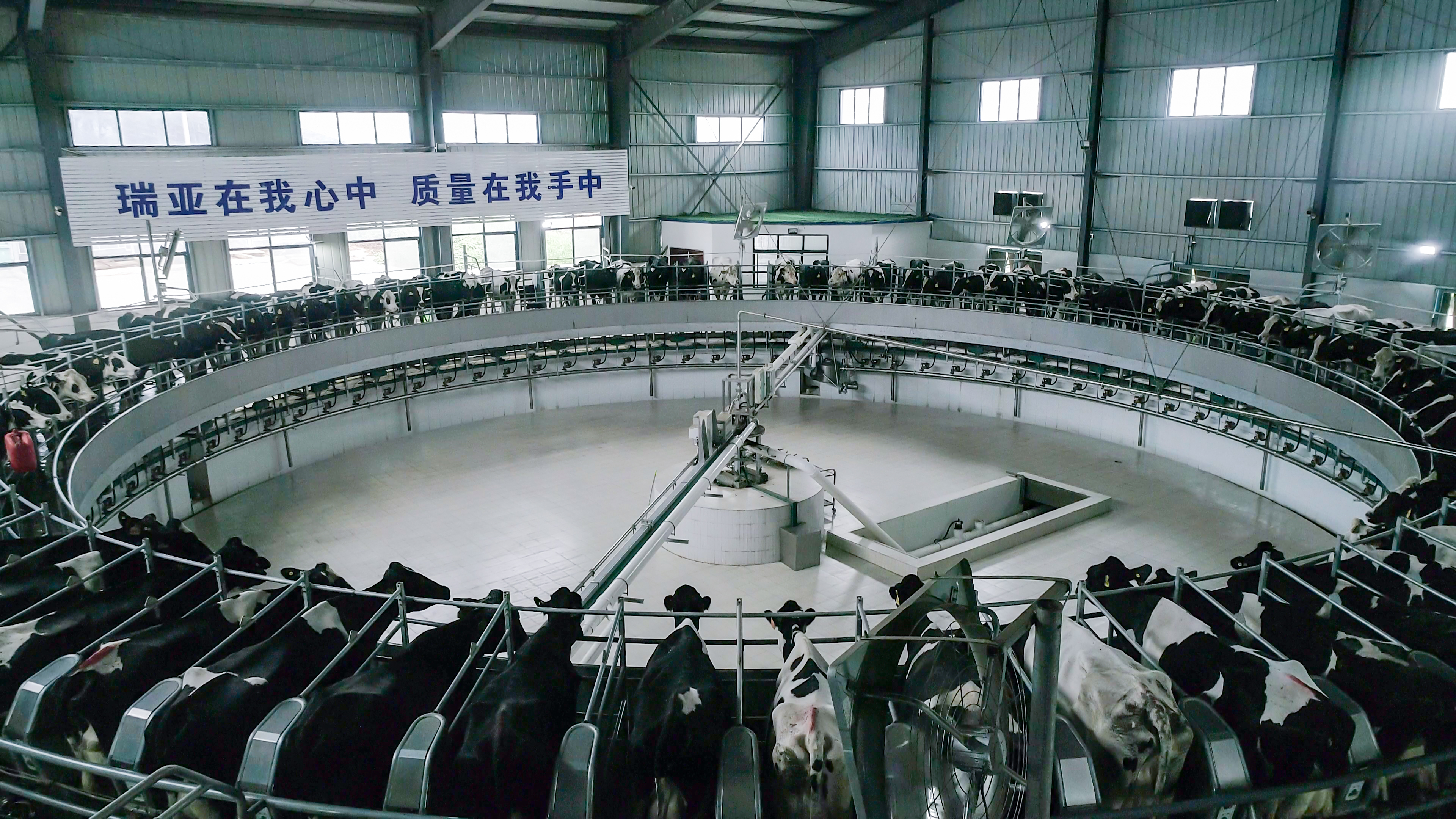 河南省委常委、組織部部長孔昌生 蒞臨河南花花牛集團魯山瑞亞牧業(yè)有限公司調(diào)研