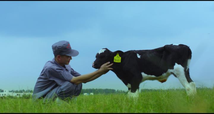 又雙叒叕獲獎(jiǎng)啦！花花牛榮獲“乳品質(zhì)量安全管理 優(yōu)秀企業(yè)”