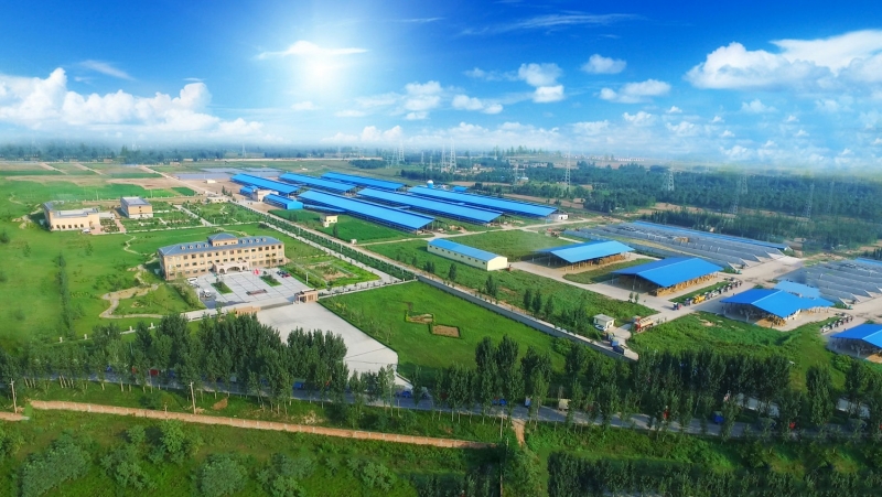 春風(fēng)吹 戰(zhàn)鼓擂——不負春天好時光