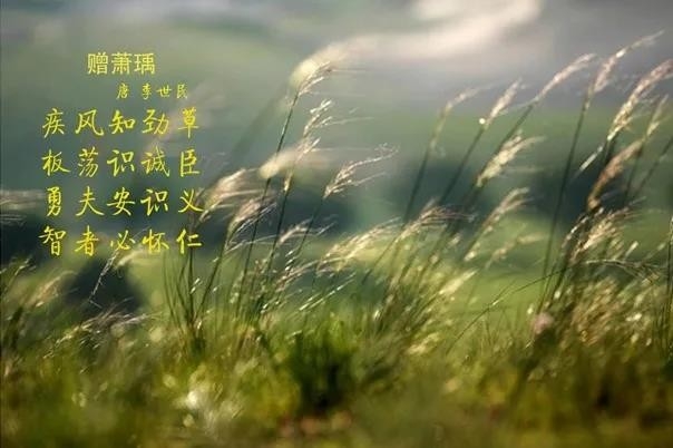 花花牛 | 疾風(fēng)來臨，你是不是勁草？
