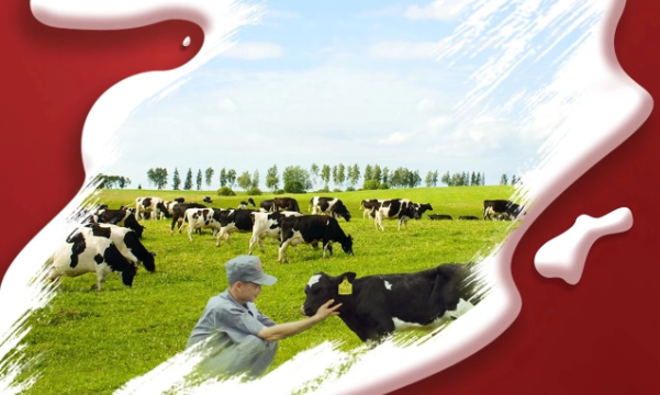 喜報！花花牛董事長關(guān)曉彥再獲”優(yōu) 秀企業(yè)家”稱號